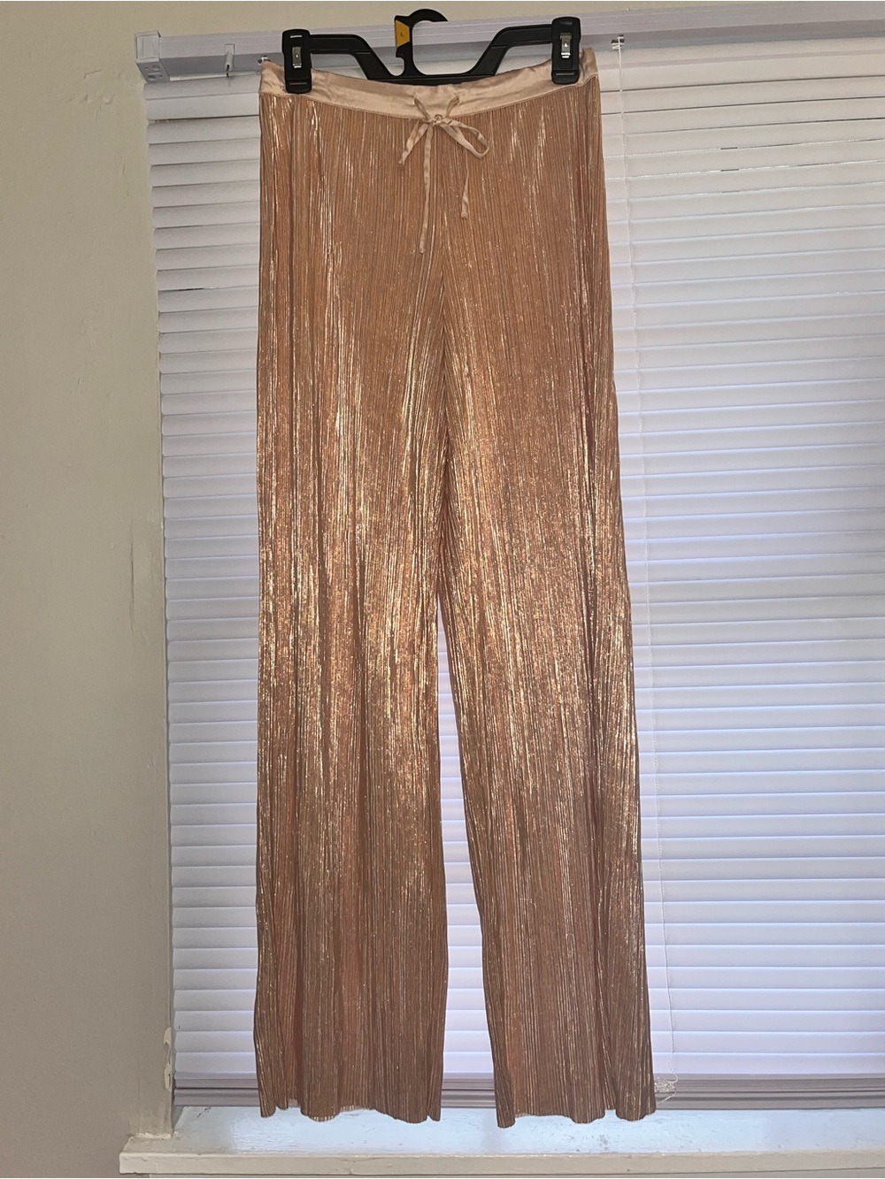 Victoria's Secret Shine Plissé Pleated Pants: